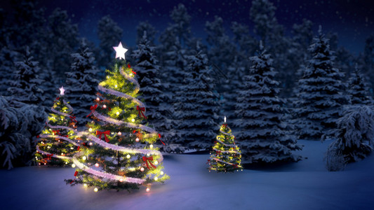 圣诞树和雪中的礼品图片