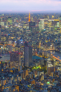 东京塔和东京城市夜景图片