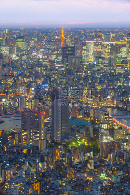 东京塔和东京城市夜景图片