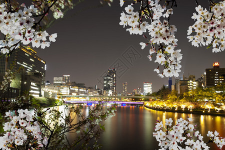 大阪市的夜景图片