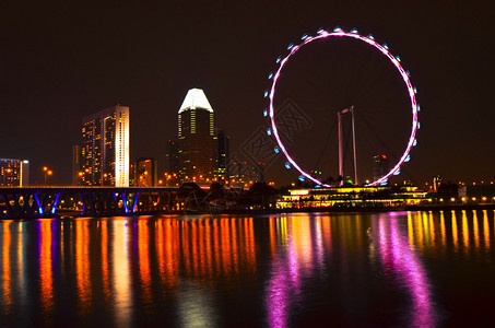 新加坡摩天观景轮和夜间天际线图片