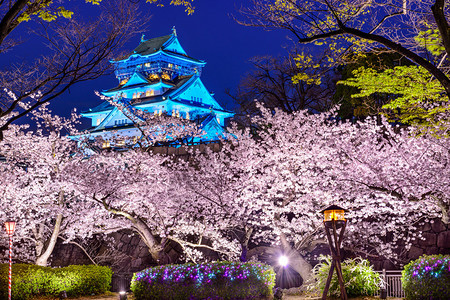 日本大阪城的夜景图片