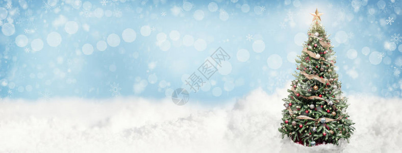 秋雪中户外圣诞树横向网图片