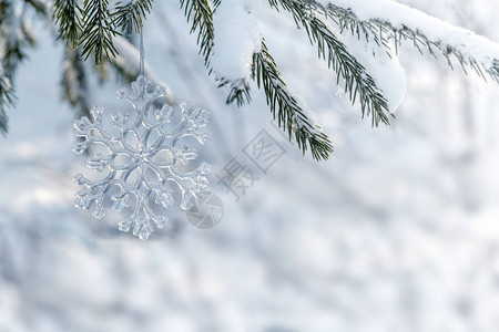 玻璃雪花挂在云杉的雪枝上图片