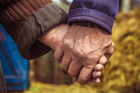 恋人老人手牵着手温暖的关系农民祖父母之间图片