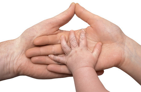 婴儿的手握着父母在白色背景下图片