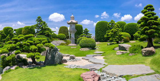生态旅游中的美丽花园与众多承载着日本传统园林传统文化的柏树松树石头图片