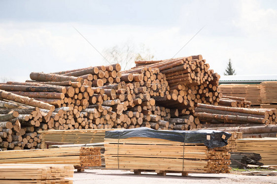 木工厂木材加工业木仓库图片