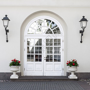 优雅经典风格的双层玻璃前门带前灯和花盆图片