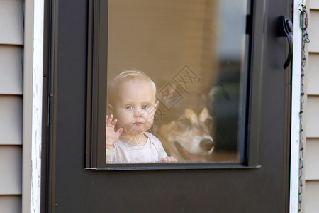 一个1岁的女婴和她宠爱的德国SHEFERDDog正在他们家门口等待图片