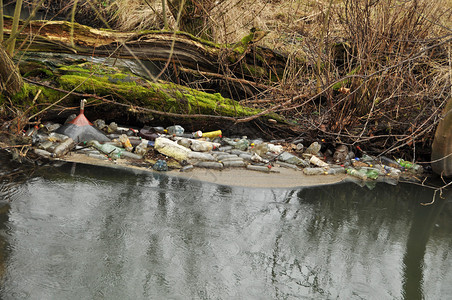 狂野河流中的垃圾和垃圾图片
