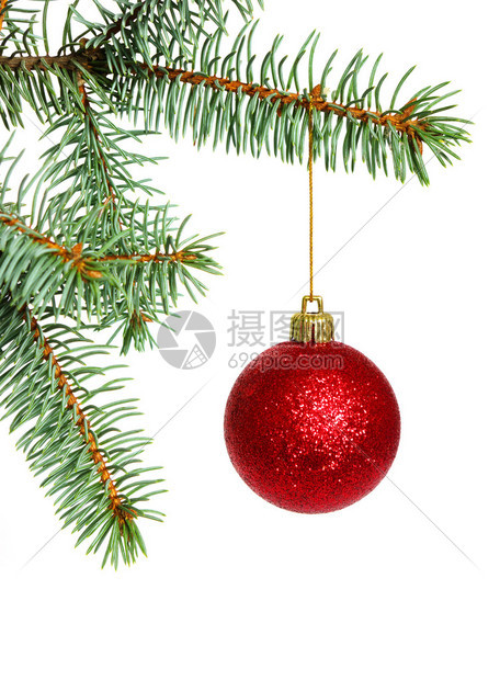 圣诞树上的漂亮球图片