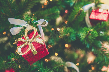 圣诞枞树装饰图片