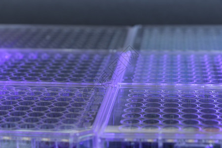 实验室材料微孔板和玻璃背景图片