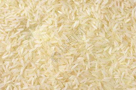未经烹煮的泰国茉莉花大米图片