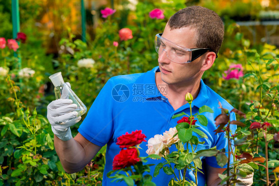 生物学家与生物学家在温室试验管中图片