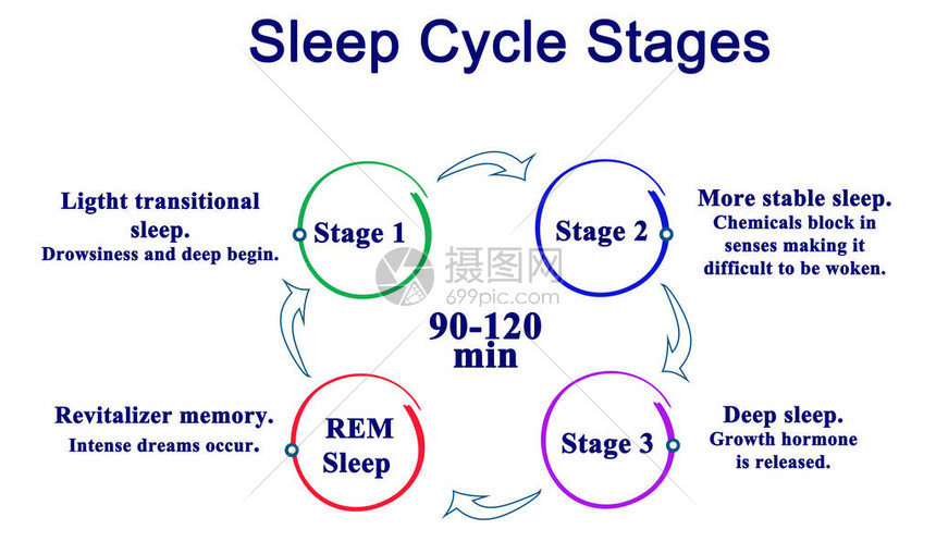 睡眠周期阶段图图片