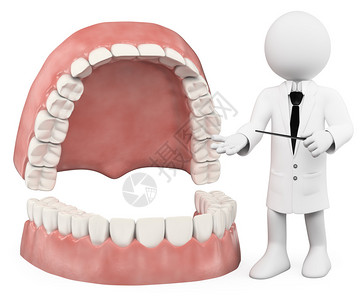 3D白人教授显示假牙孤图片