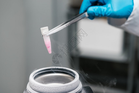 在液态氮库工作的科学家保护生殖细胞的停机权Cryopreservationofrecental图片