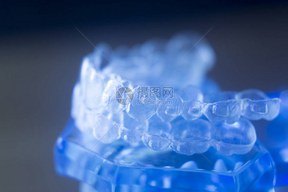 牙齿正畸牙科教学模型与牙龈牙釉质牙菌斑牙根图片
