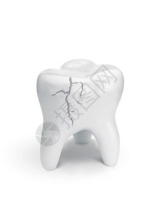 白背景上的裂齿图片