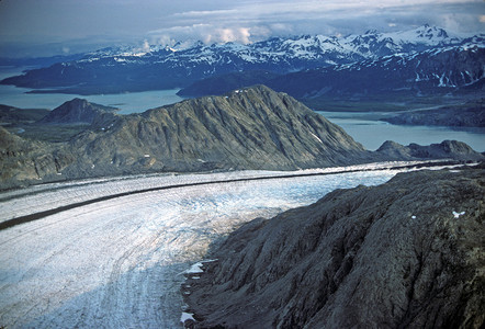 冰川在冰川湾公园向海洋方向移图片
