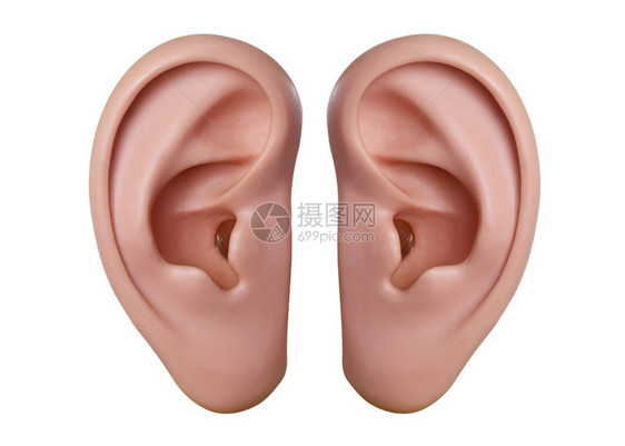 人类耳朵模型孤立图片
