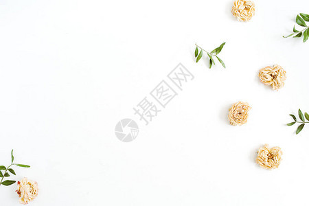 由白色背景上的干淡米色玫瑰制成的花卉边框图片