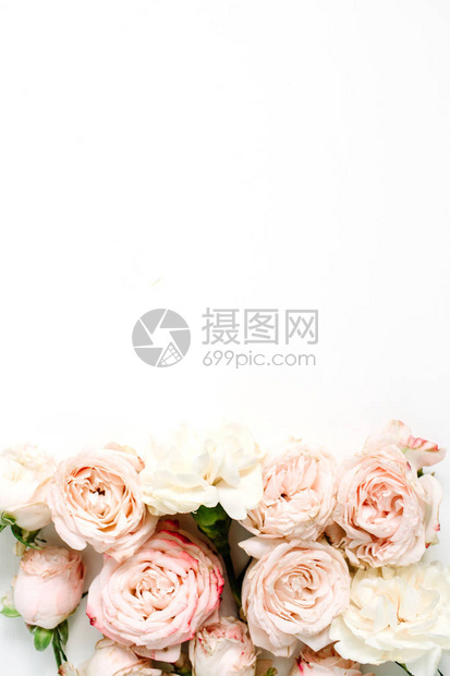 花组成与白色背景上的米色玫瑰图片