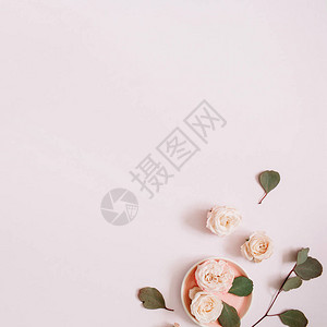 紫玫瑰和叶树枝在苍白的粉色面部背景上图片