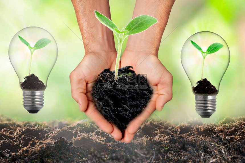 创新玩法融合多元文化展现无限精彩瞬间