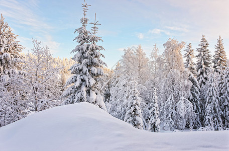 芬兰Ruka村冬季北极圈的Ruka村图片