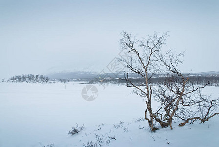 萨米的圣山苔原的冬季景观拉普兰图片