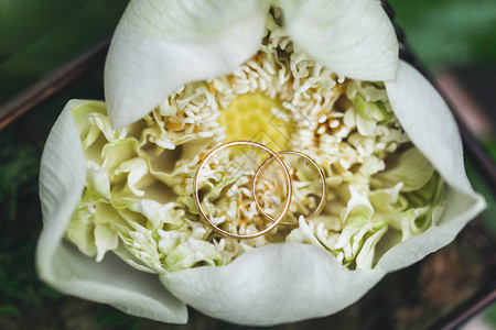 在大白莲花里面的婚戒图片