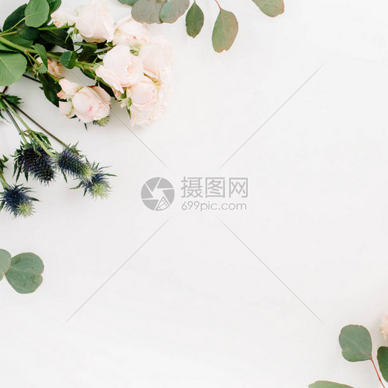 边框由紫玫瑰花白背景的叶树枝组成图片