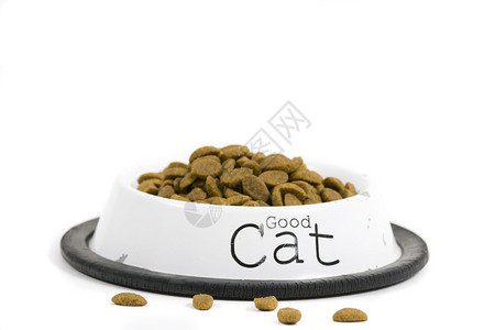 碗装猫粮在白色背景上孤立背景图片