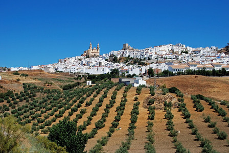 西班牙安达卢西亚西班牙西欧卡迪兹省奥尔韦拉的白城前图片