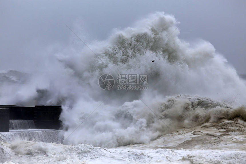 风暴体育揭秘顶级运动员背后不为人知的训练日常与心路历程