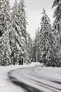 穿过白雪皑的森林的道路图片