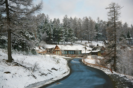 冬季的乡村道路两边都有雪覆盖的木图片
