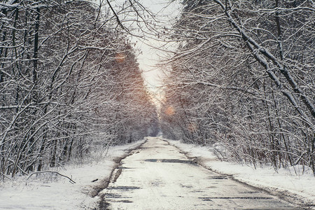 在寒冬有路的雪公图片