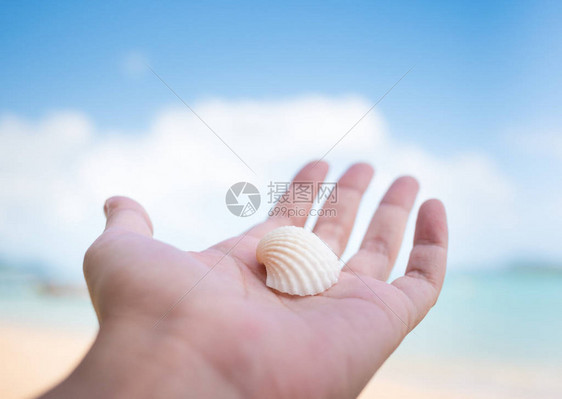 左手掌中的白色贝壳图片