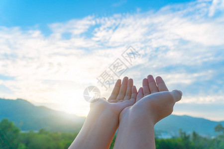 女人手放在一起就像在大自然的绿色背景图片