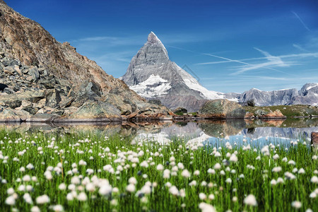 早晨时间湖附近的马特宏峰和草瑞士美丽的自然景观在图片