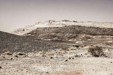以色列内盖夫沙漠的岩石山丘以色列南部岩层的壮丽景观尘土飞扬的山脉被旱谷和深陨石坑打背景图片