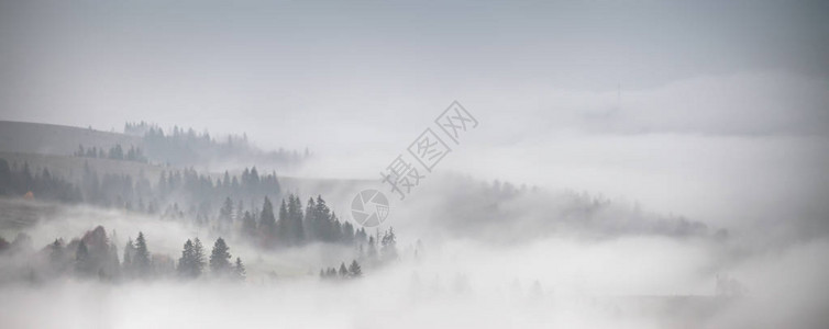 低云覆盖的森林全景山丘上的秋天雨和雾背景图片