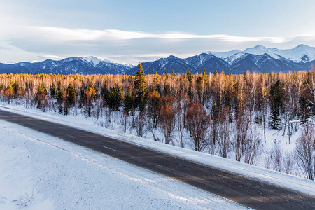 美丽的冬季公路树木和雪山俄罗斯联邦图片