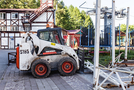 小型山猫重建图片