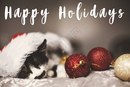 节日快乐的文字是可爱的小猫睡在床上的圣诞帽上图片