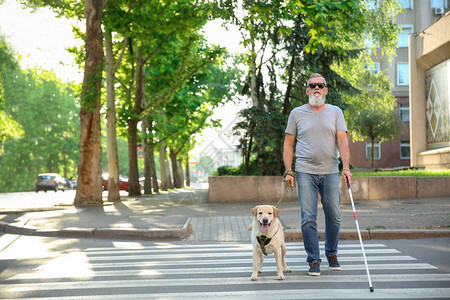 带导盲犬过马路的盲人成年男子图片